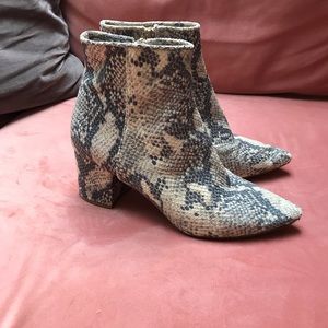 Steve Madden Snakeskin (faux) Boots